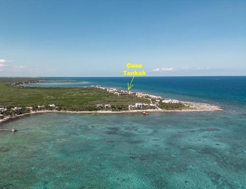 Oceanview Beach House with Pool & Private Beach Access in Tulum, Mexico