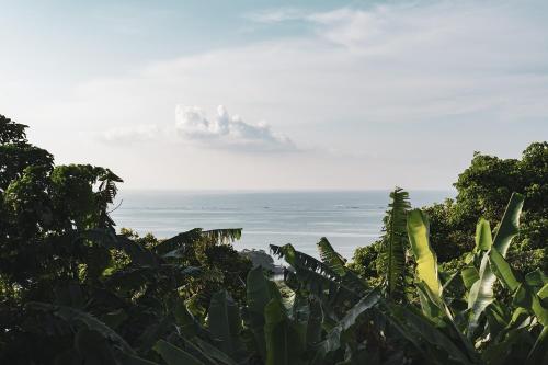 오키나와 본섬 momo 4성급 싱글룸 레스토랑