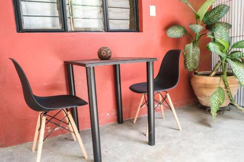 オアハカ chill green beautiful downtown area TV good Wifi 1つ星 シングルルーム 客室