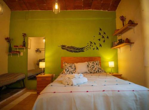 オアハカ chill green beautiful downtown area TV good Wifi 1つ星 シングルルーム スイート