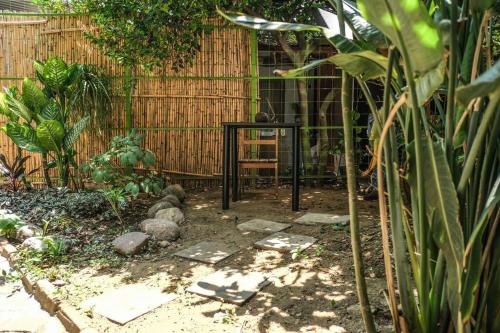 オアハカ chill green beautiful downtown area TV good Wifi 1つ星 シングルルーム 施設