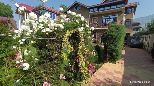 De brook, Srinagar