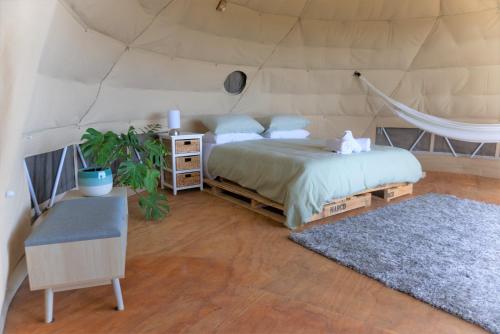 Waipū Thunder Domes no.1 offgrid eco glamping dome (Waipu Thunder Domes no.1 offgrid eco glamping dome) in Waipu