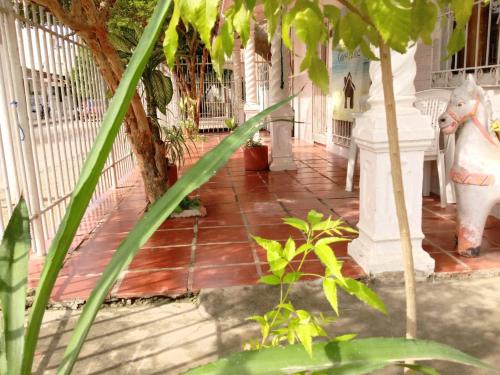 Foto - shanty guest house 2