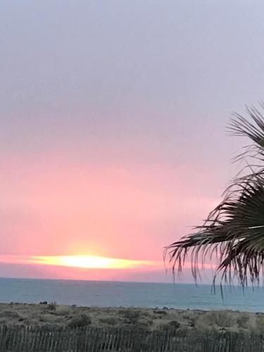 Les pieds dans l'eau - Location, gîte - Valras-Plage