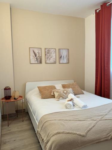 Maison au Cœur de Béziers gîte à louer Béziers