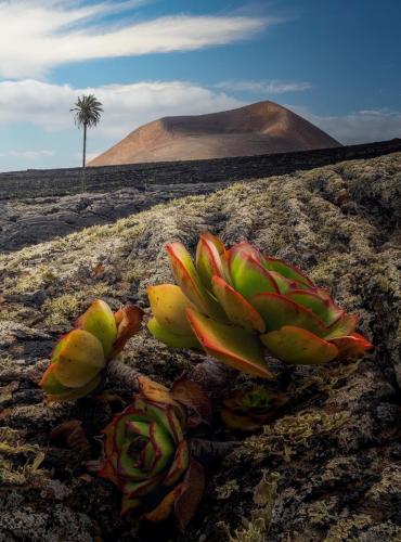 LANZAROTE Casa Volcánica-Anclada sobre la lava del volcán 4
