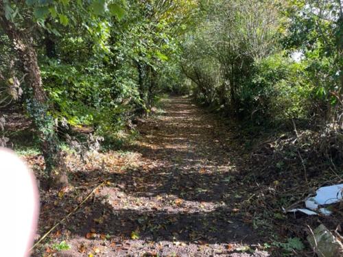 The Cottage Greenacre House, Carrow, Dualla, Cashel, County Tipperary E25T672 in Cashel