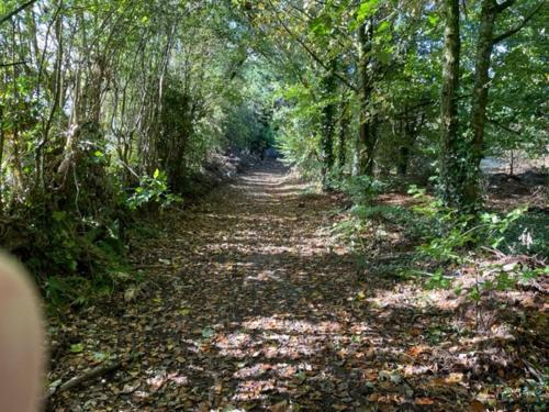 The Cottage Greenacre House, Carrow, Dualla, Cashel, County Tipperary E25T672 in Cashel