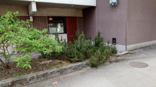 A szálláshely kívülről, Entire cozy apartment just for you in Varissuo