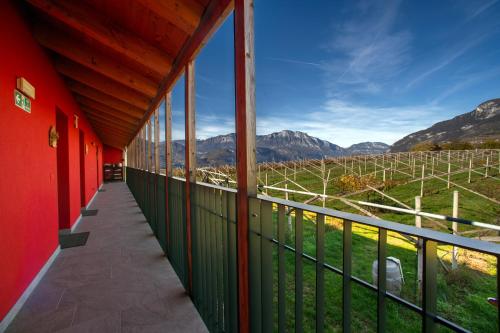 8 Grappoli Agritur 5