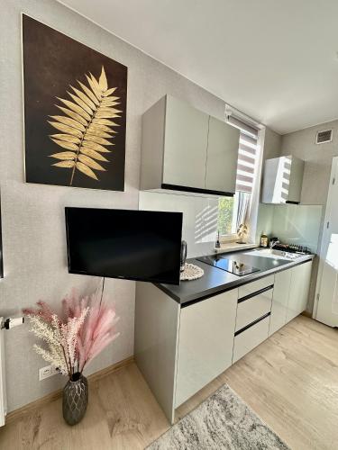 廚房, Apartamenty 1 maja 94 Free Parking, Free WiFi, Self Check-in in 尼基斯佐維科