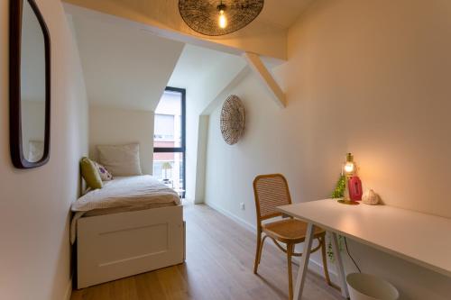 Urban Loft, Toulouse (fotografie 4)