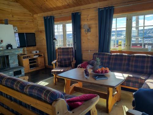 Facilities, Coazy cabin with sauna in Trysil