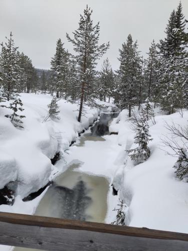 Nearby attraction, Coazy cabin with sauna in Trysil