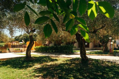 Kalypso studio Resorts