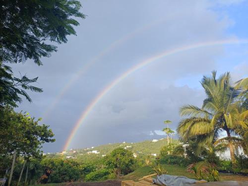 Rooster Run Glamping Camping has rooftop and off the ground Glamping experience for 1 to 16 in a single tent and views of The Rain Forrest and to Culebra across the Atlantic Ocean w Tents, Linens, Deluxe Air Beds, Warm Shower and More at a Great Price