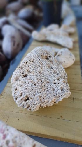 Rooster Run Glamping Camping has rooftop and off the ground Glamping experience for 1 to 16 in a single tent and views of The Rain Forrest and to Culebra across the Atlantic Ocean w Tents, Linens, Deluxe Air Beds, Warm Shower and More at a Great Price