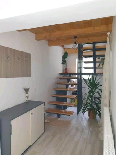 Housing VaduCrisului casa GenySa