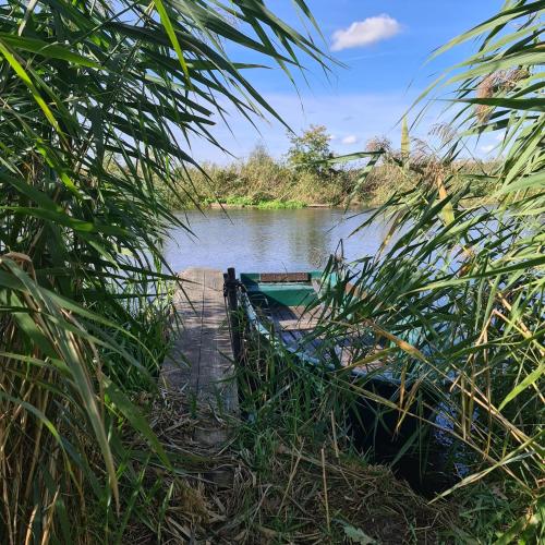 المنطقة المحيطة, Ferienwohnung AM SPREEUFER in Grunheide