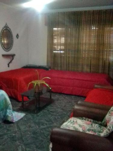 Suite Apartment