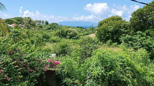 La Jemeli in Grand-Bourg