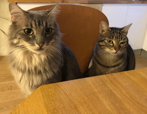 Vignerone atypique proche du canal du midi à 30 min des plages Vignerone atypique proche du canal du midi à 30 min des plages