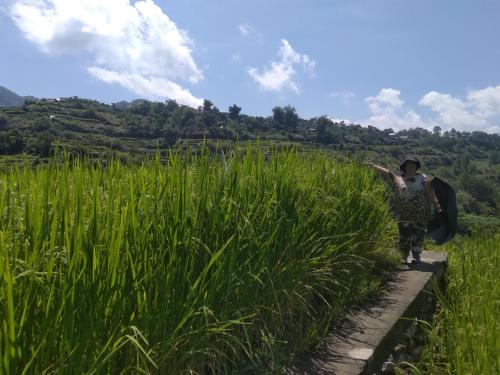 Rowena's Maligcong Homestay in Bontoc
