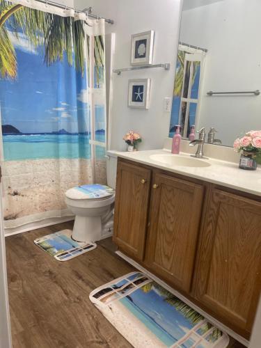 Charming Entire 3 Bedrooms House with AC and Wifi in Charlotte, USA