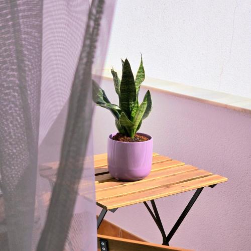 Casa Serena Alojamiento Rural Casa Serena Alojamiento Rural