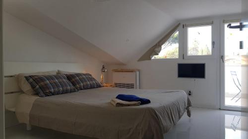 Roma - Casalpalocco - Amipsia