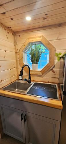 Lot 7 Tiny Home on the River in Cosby, USA