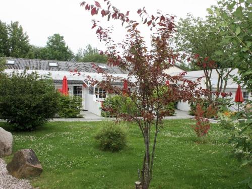 Reinhardt 3 Comfortable holiday residence