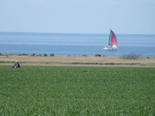 Holiday apartment with 1 bedroom