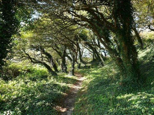 Reinhardt 4 Comfortable holiday residence