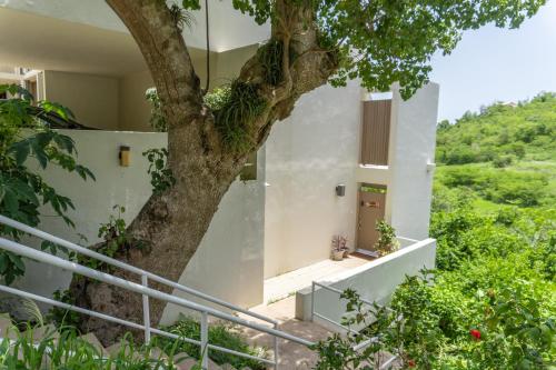 Mahogany Run Retreat A Tranquil Caribbean Escape in Lovenlund