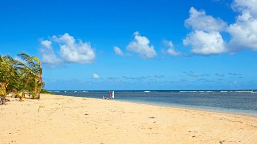 Crystal Blue - image 9