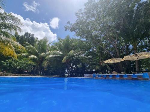 Cómodas cabañas en la naturaleza