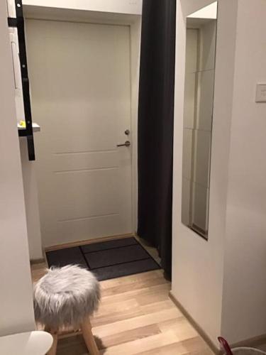 Modern studio in the center of Riga!, Riga (fotografie 10)