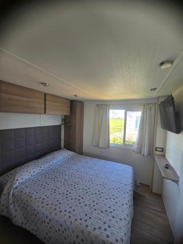 Agricampeggio AL CIELO STELLATO