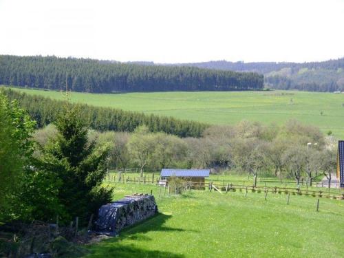 Ferienwohnung-Freuen in 布蘭肯海姆