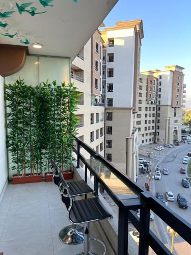 Ortus - Islamabad - image 13