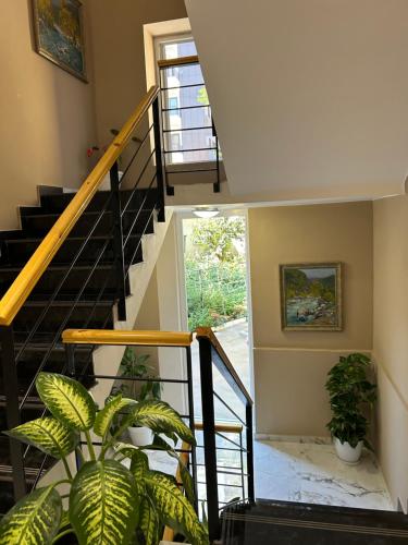 Vila Panto, Tirana (photo 7)