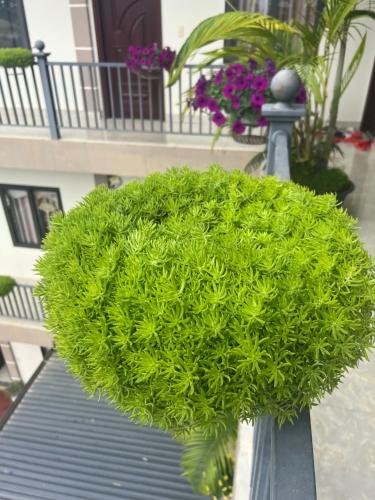 Nhà Nghỉ Ngọc Long – Moc Châu