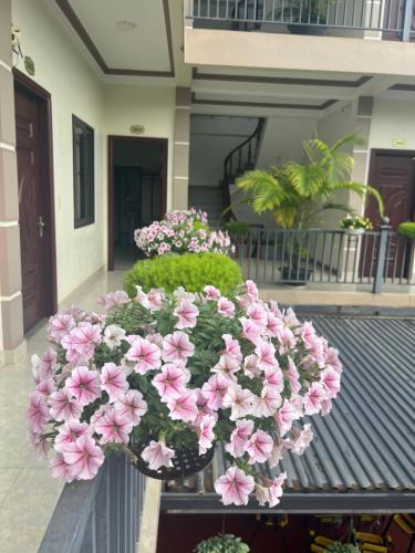 Nhà Nghỉ Ngọc Long – Moc Châu