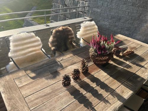 Alpine Luxury Apartment Davos with Spa Access to 5 Star Hotel Alpine Luxury Apartment Davos with Spa Access to 5 Star Hotel