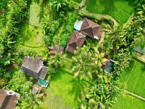 Dewa Jati Cottages, بالي