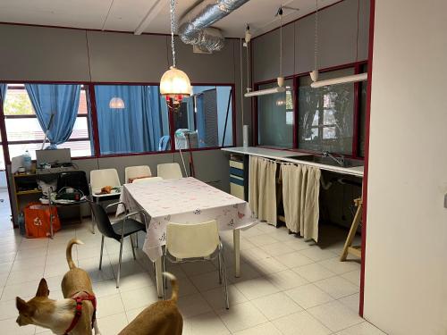 Tessas apartments Sabadell 3 in Sabadell