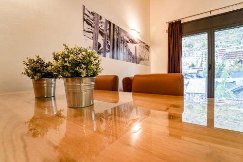 Apartaments Superior in El Tarter