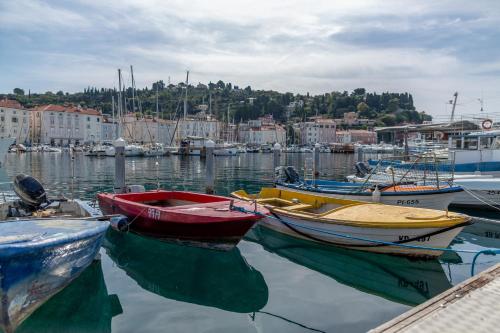 Floating Sea House SHARK 3 Floating Sea House SHARK 3